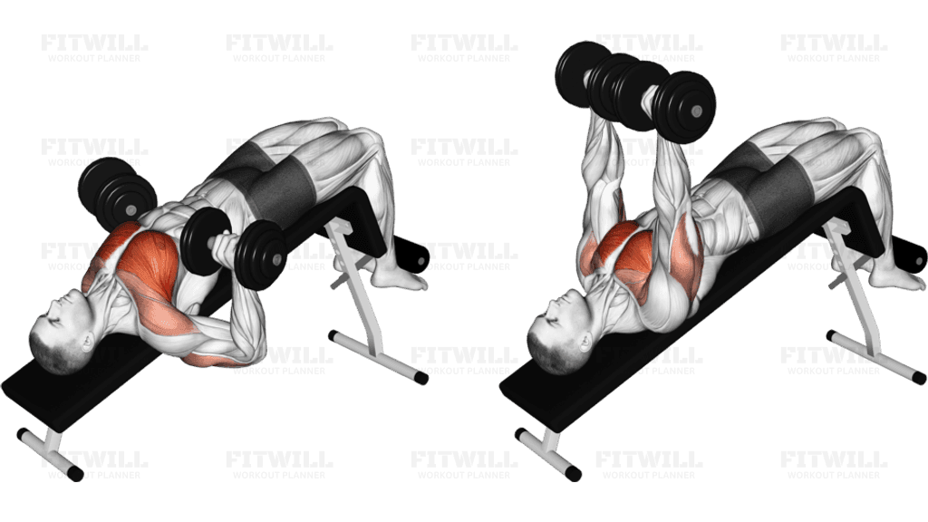 Dumbbell Decline Bench Press