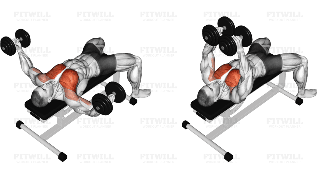 Dumbbell Chest Fly