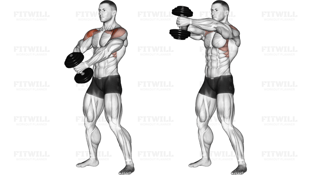 Dumbbell Front Raise (version 2)