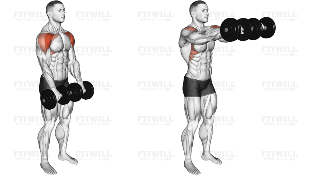 Dumbbell Front Raise