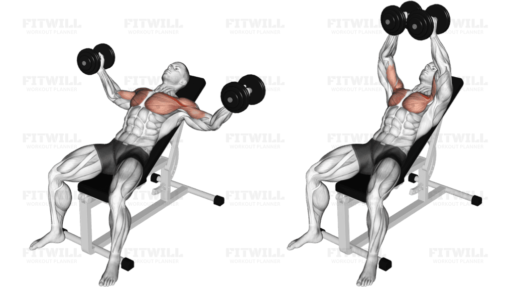 Dumbbell Incline Fly