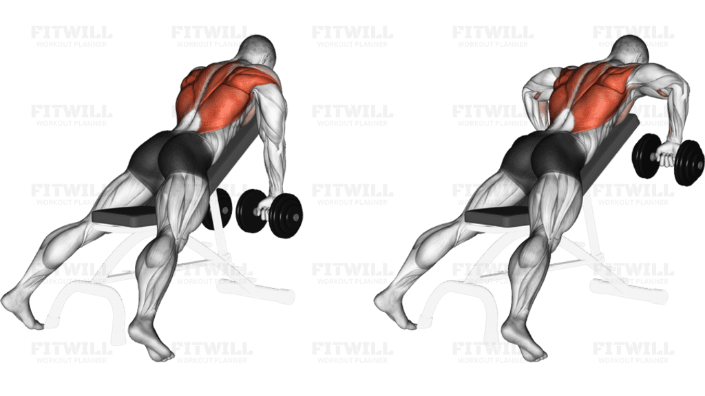 Dumbbell Incline Row