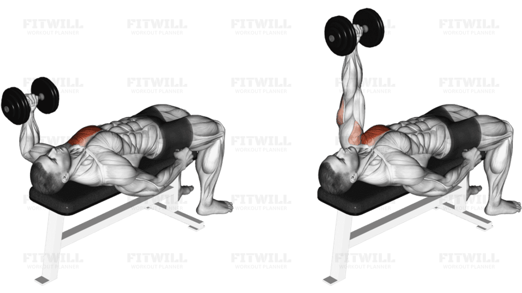 Dumbbell Lying One Arm Press (version 2)