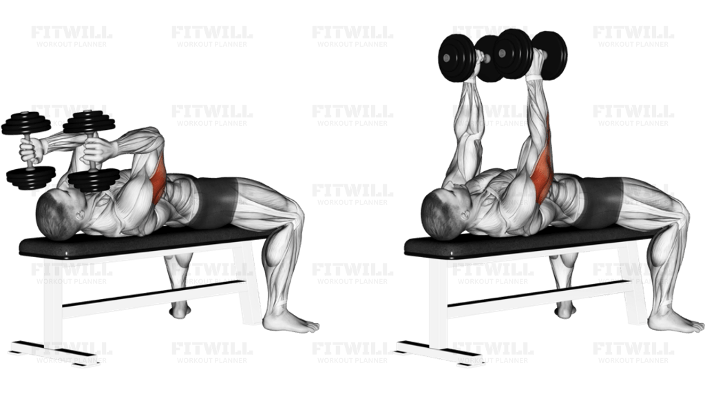Dumbbell Lying Triceps Extension