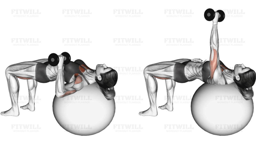 Dumbbell One Arm Press (on stability ball)