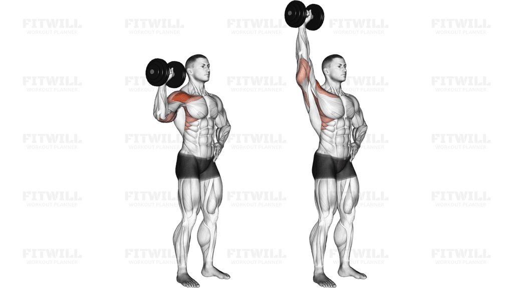 Dumbbell One Arm Shoulder Press