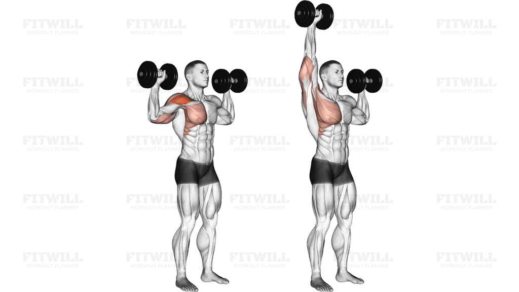 Dumbbell One Arm Shoulder Press