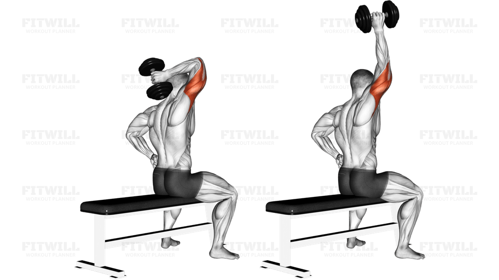 Dumbbell One Arm Triceps Extension