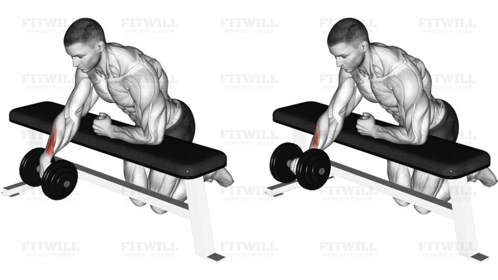 Dumbbell Over Bench One Arm Wrist Curl