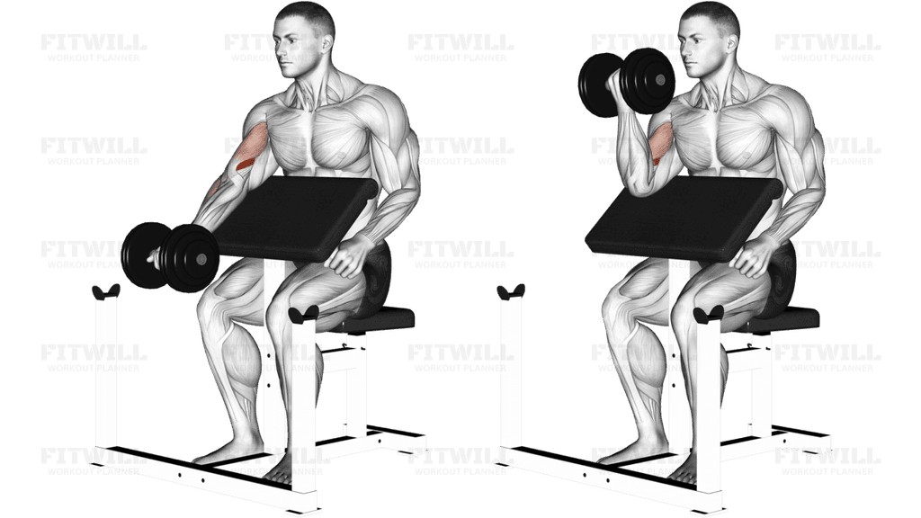 One Arm Dumbbell Preacher Curl