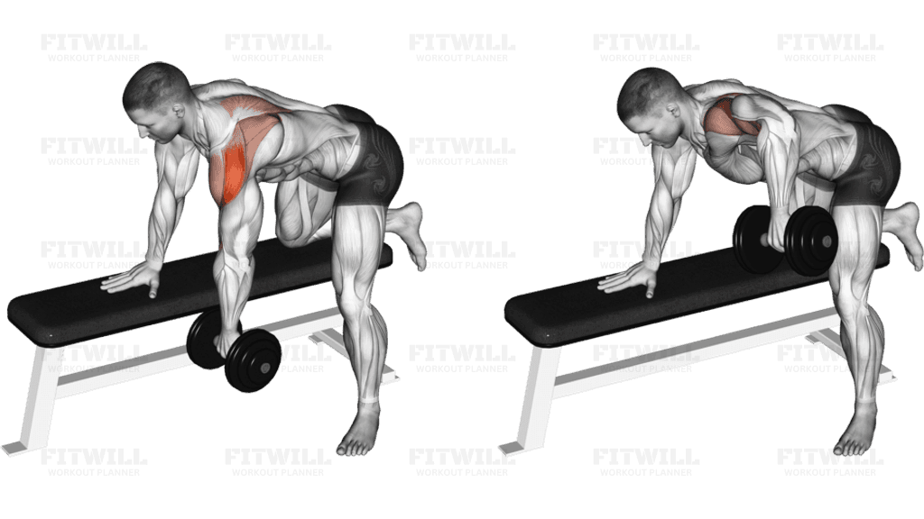 Dumbbell Rear Delt Row