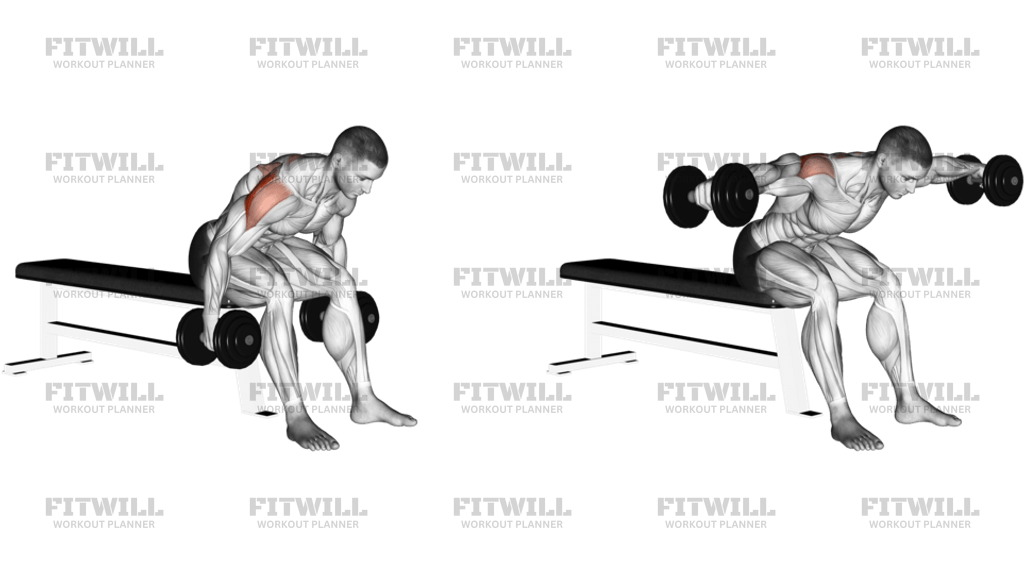 Dumbbell Rear Fly