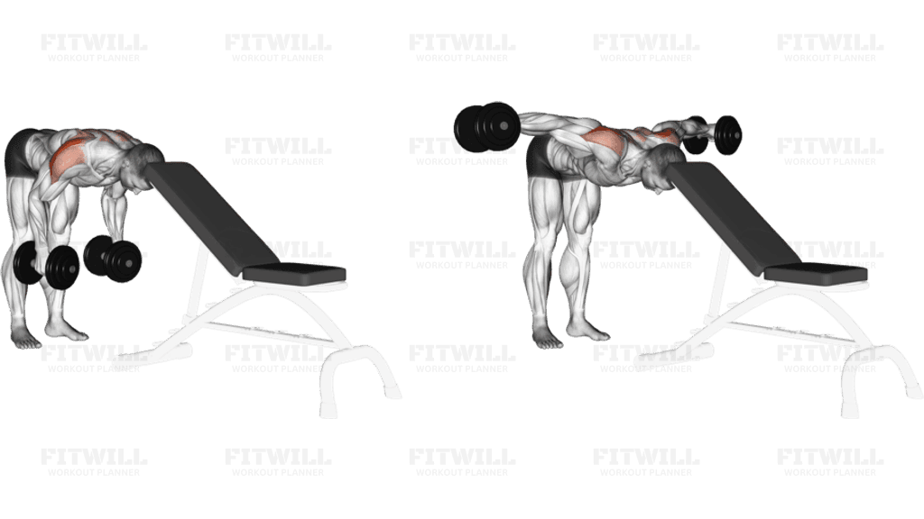 Dumbbell Rear Lateral Raise (support head)