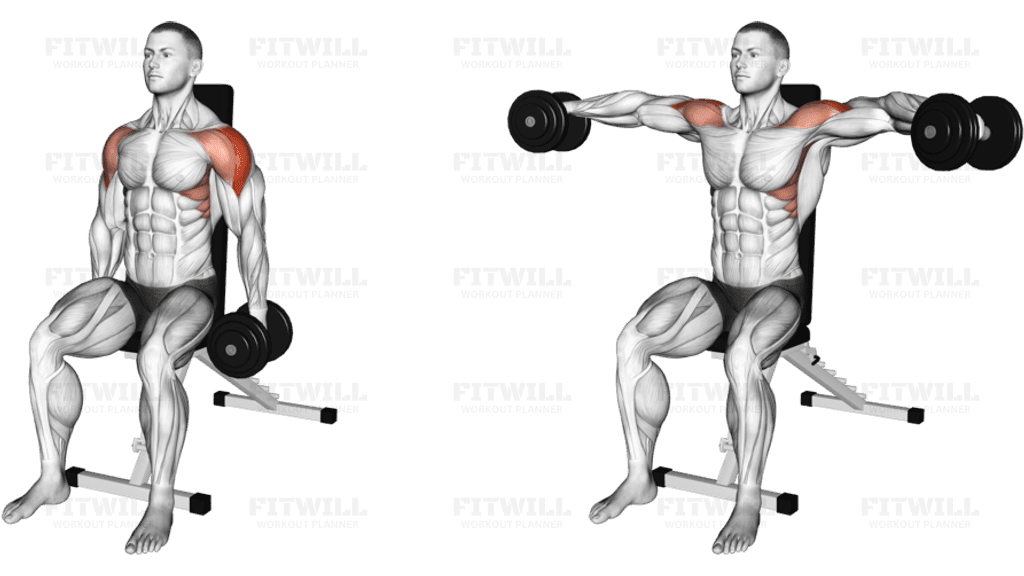 Dumbbell Seated Lateral Raise (version 2)