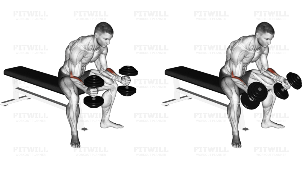 Dumbbell Seated Neutral Wrist Curl