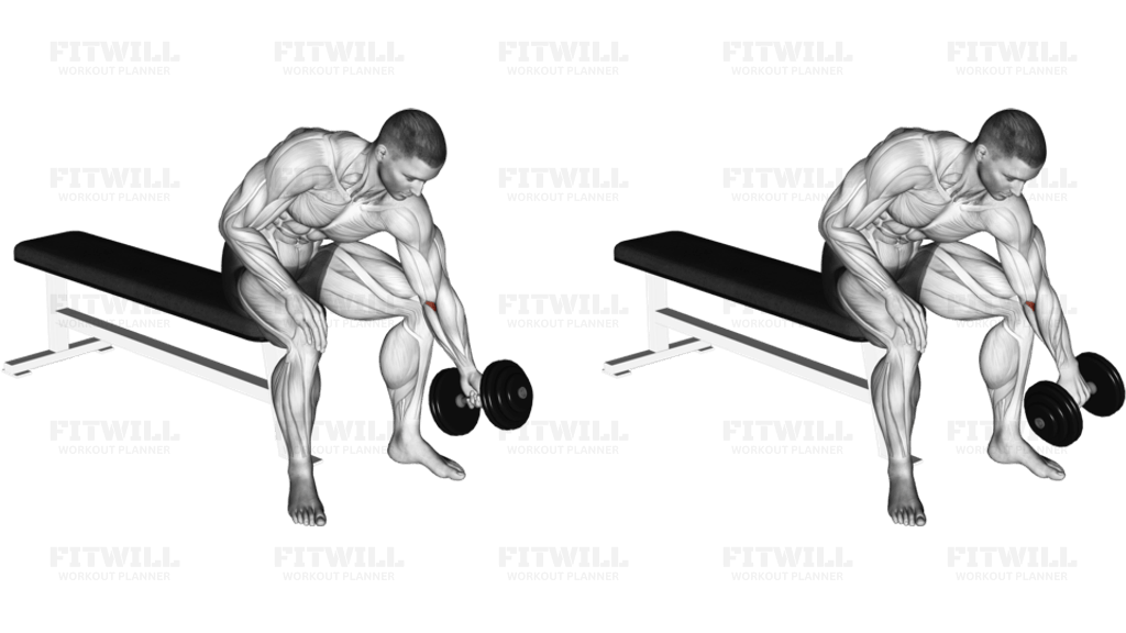 Dumbbell Seated One Arm Rotate