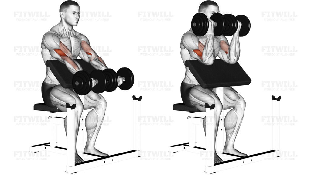 Dumbbell Seated Preacher Curl