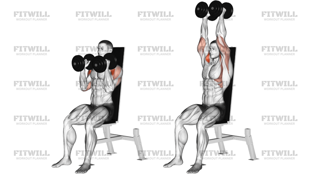 Dumbbell Seated Shoulder Press (parallel Grip)