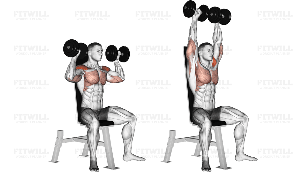 Dumbbell Seated Shoulder Press