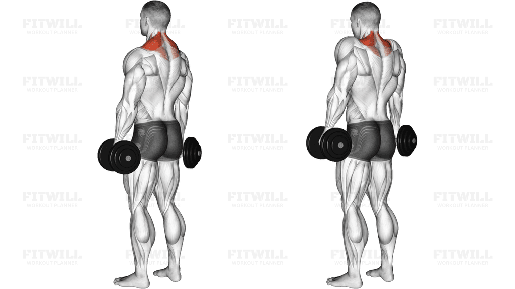 Dumbbell Shrug