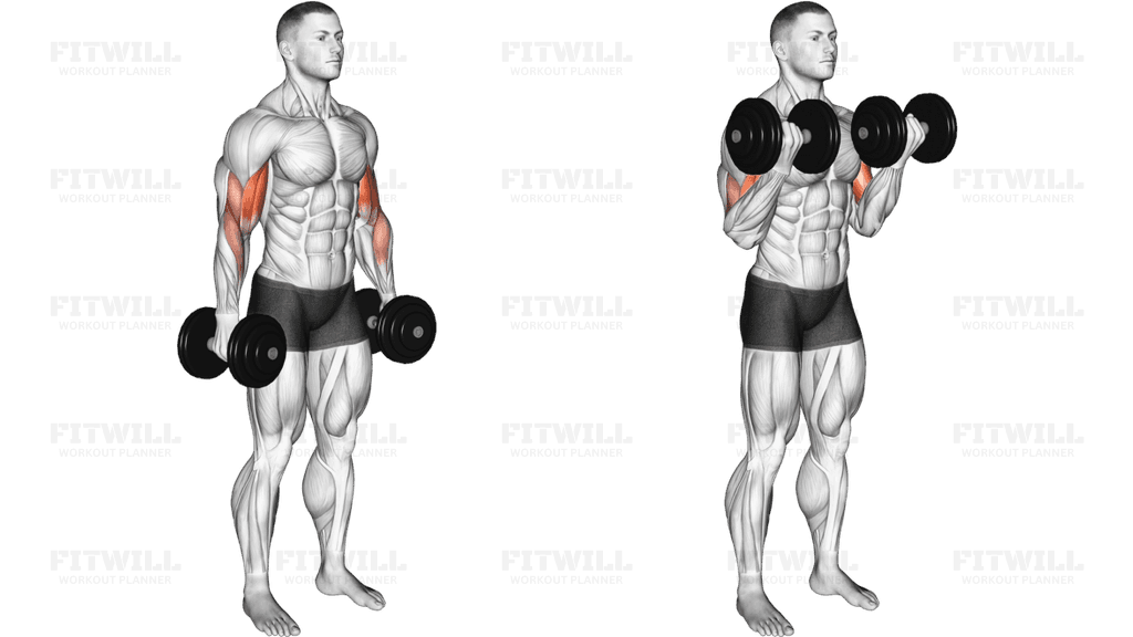 Dumbbell Standing Biceps Curl