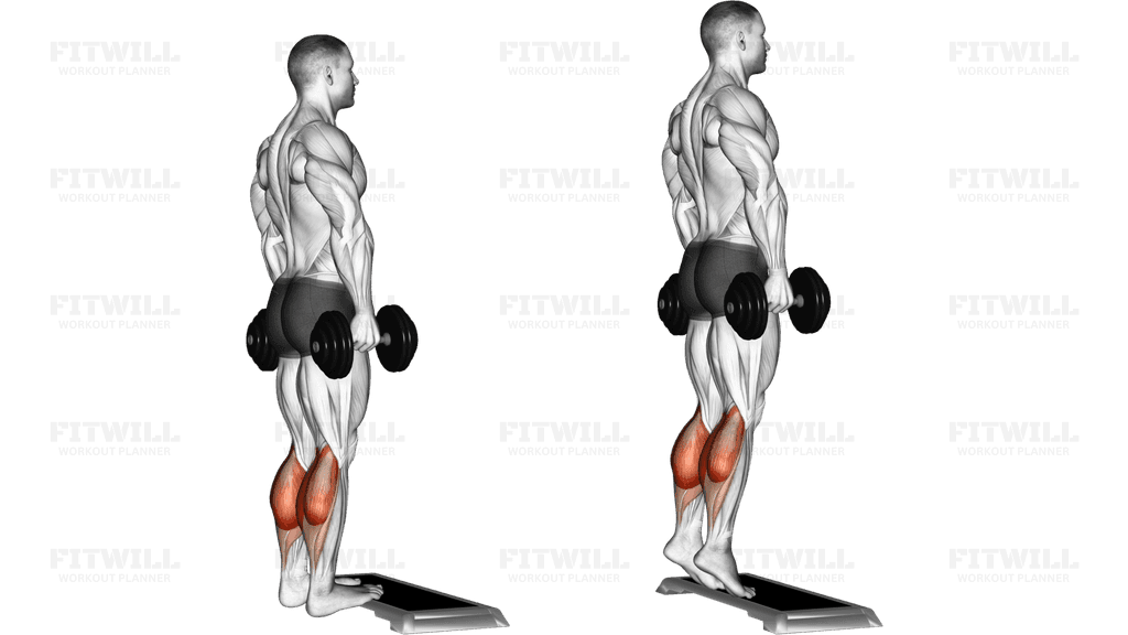 Dumbbell Standing Calf Raise