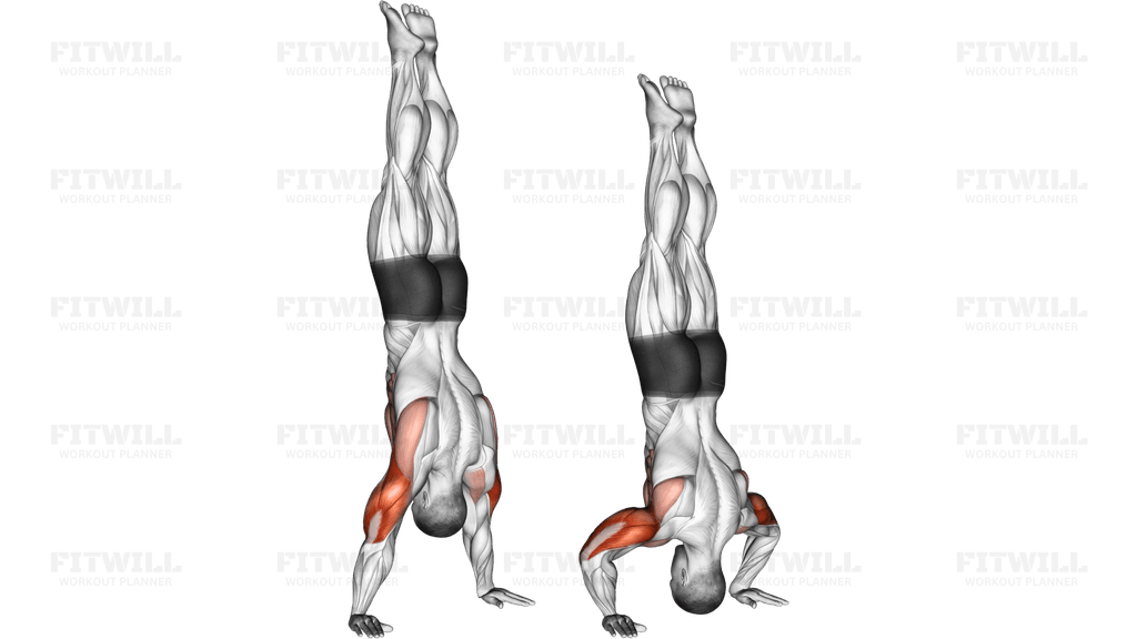 Handstand Push-up