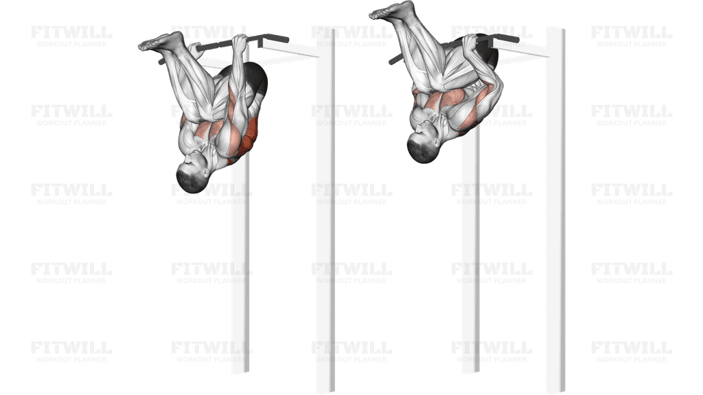 Inverted Row (version 2)