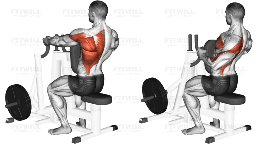 Lever Alternating Narrow Grip Seated Row (plate loaded)