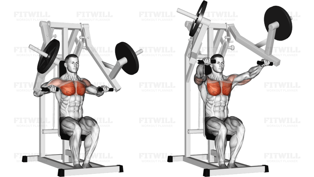 Lever Chest Press