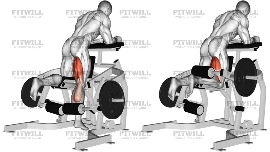 Lever Kneeling Leg Curl