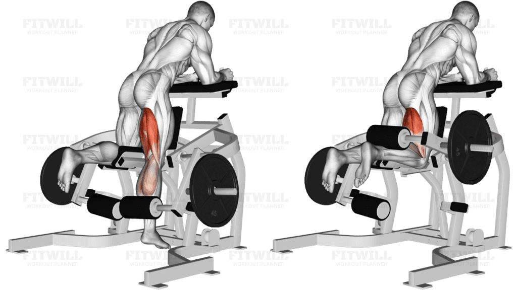 Lever Kneeling Leg Curl