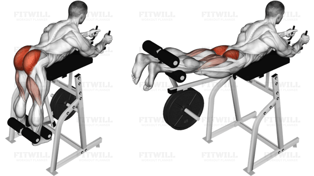 Lever Reverse Hyperextension (plate loaded)