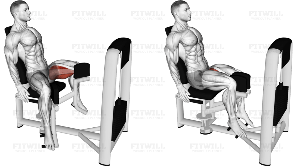 Lever Seated Hip Adduction