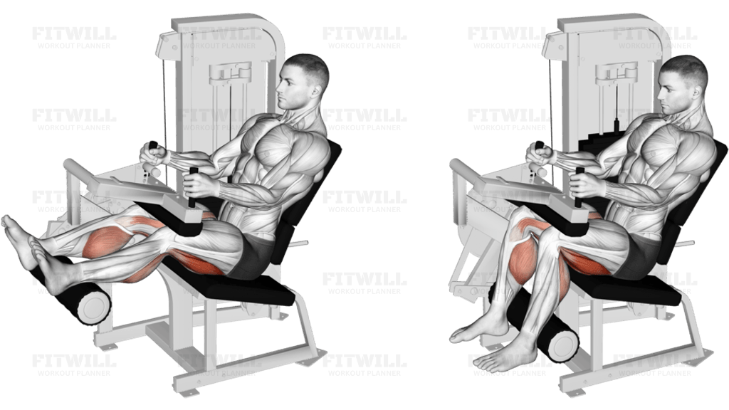 Lever Seated Leg Curl