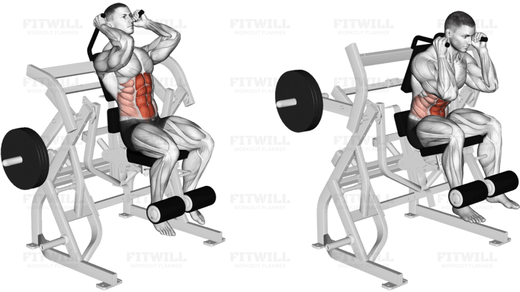 Lever Seated Leg Raise Crunch (plate loaded)