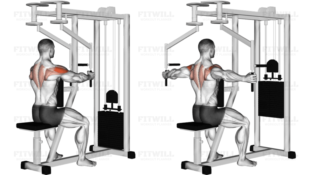 Lever Seated Reverse Fly (parallel grip)