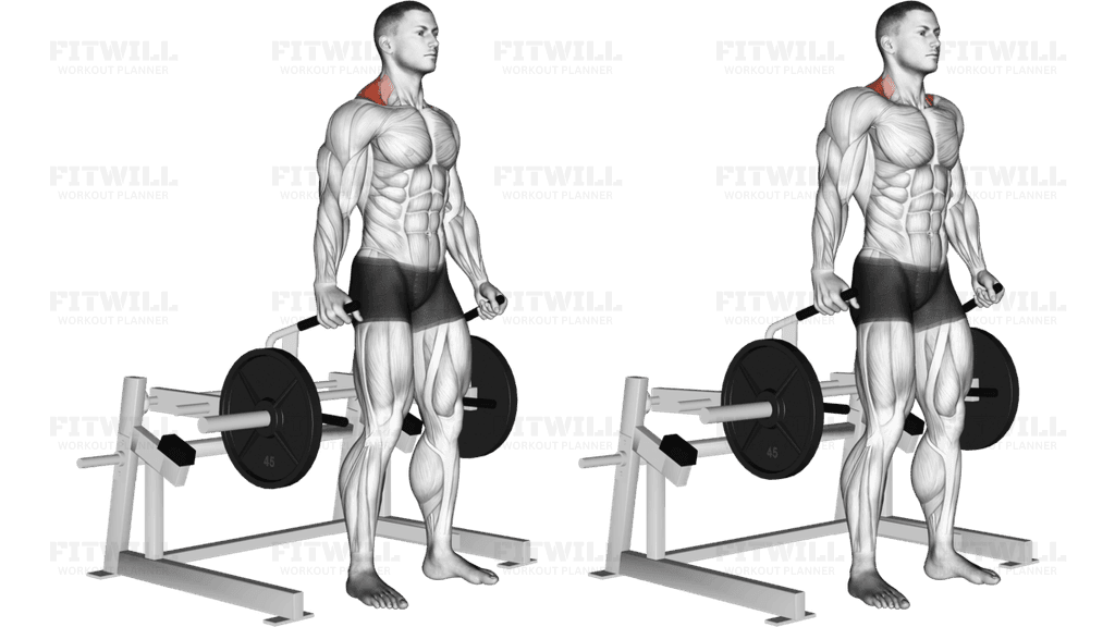 Lever Shrug (plate loaded)