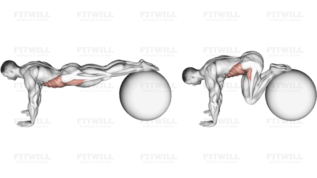 Pull-In (on stability ball)