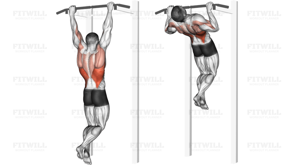 Rocky Pull-Up Pulldown