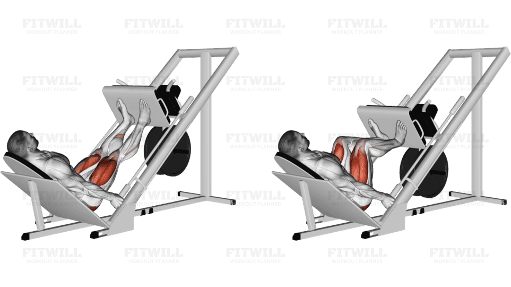 Sled 45° Leg Press