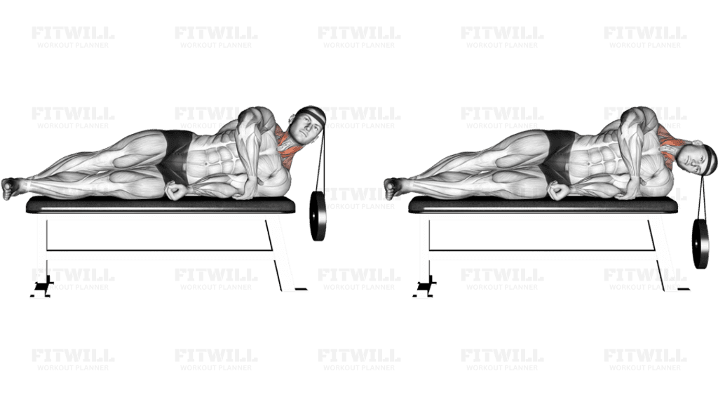 Weighted Lying Side Lifting Head (with head harness)