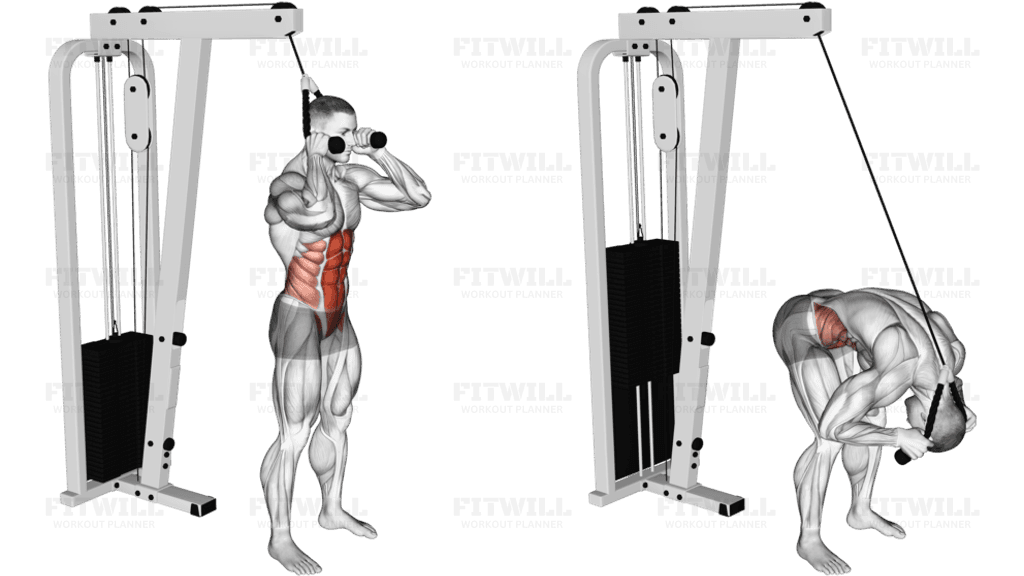 Cable Standing Crunch (with rope attachment)