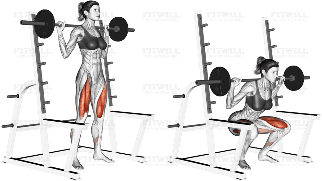 Barbell Full squat (with rack)