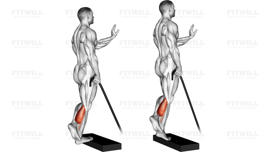 Band single leg calf raise