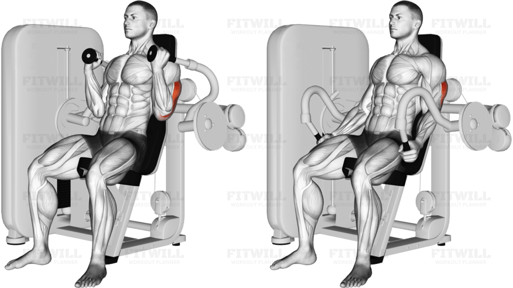 Lever Triceps Extension
