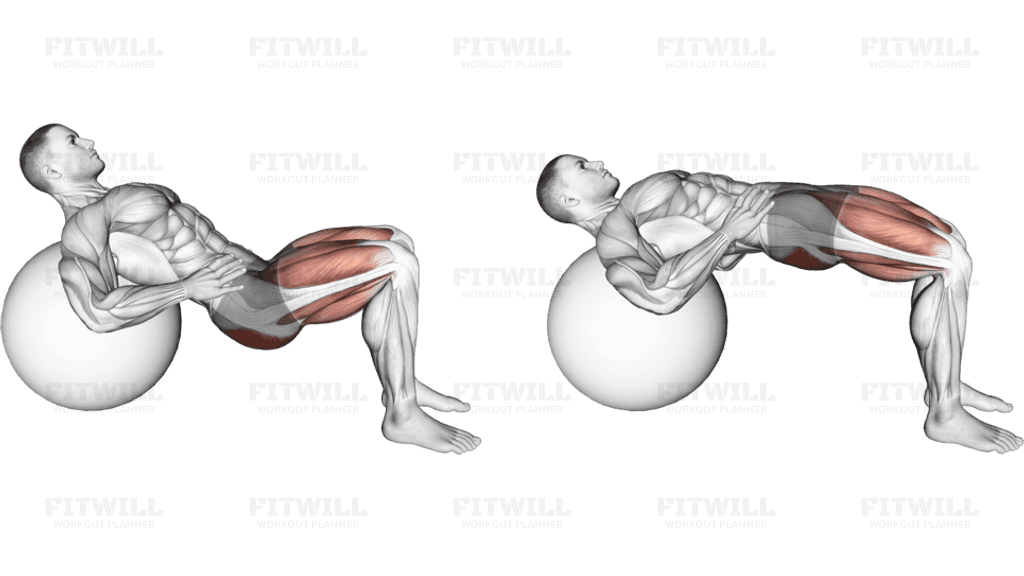 Lying Hip Lift (on stability ball) II