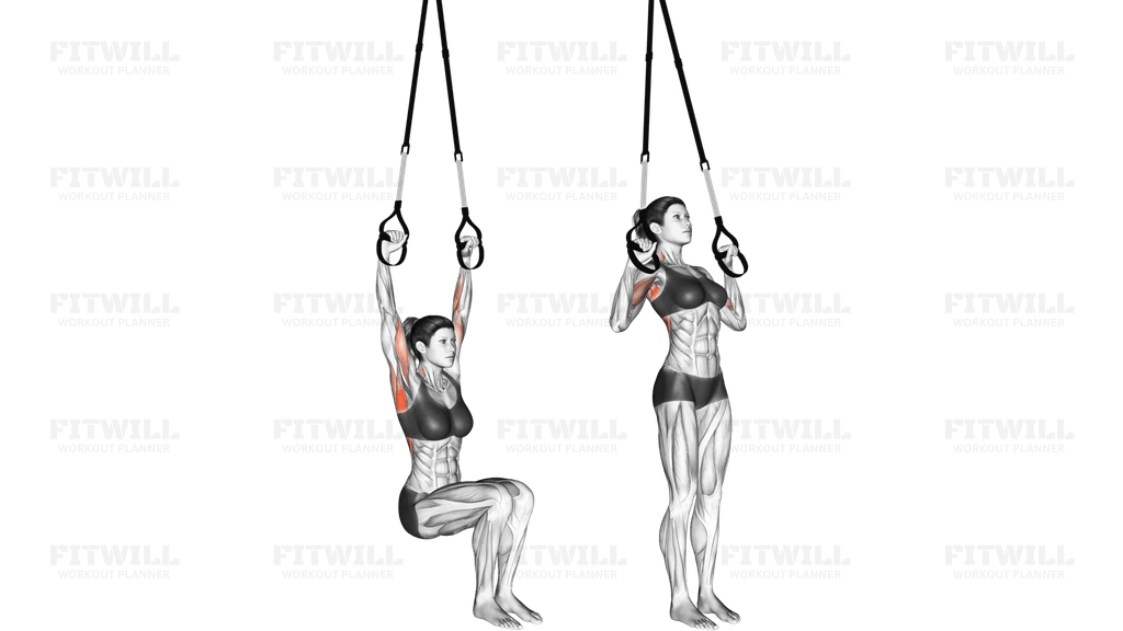 Suspension Self assisted Pull-up
