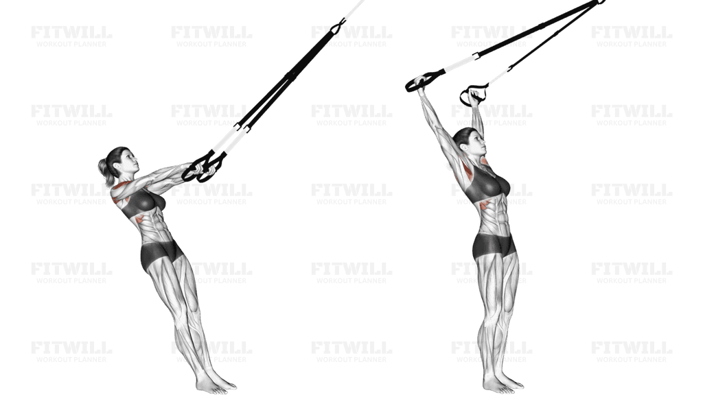 Suspension Y Lateral Raise