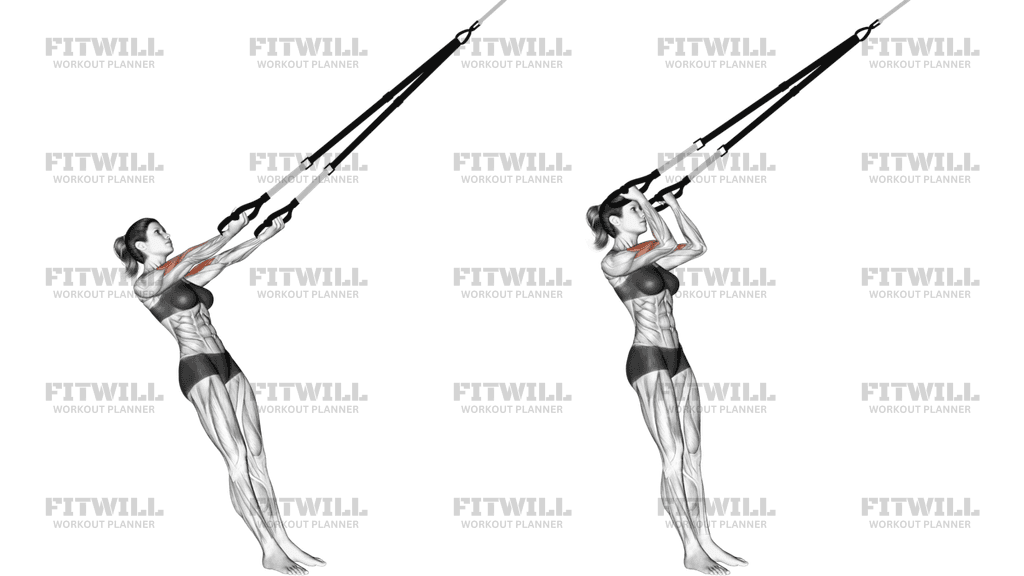 Suspension Arm Curl-to-Ears
